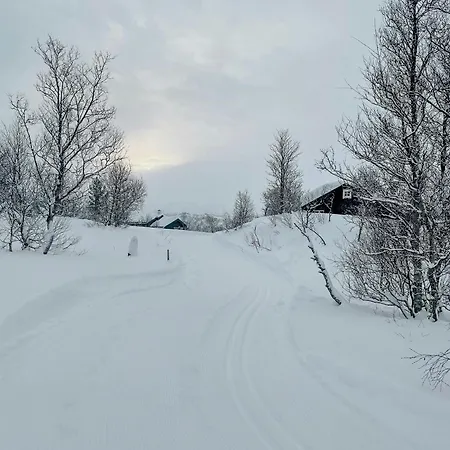 Casa vacanze Cozy In Scenic Voringsfoss *