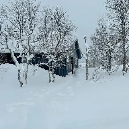 Cozy In Scenic Voringsfoss *